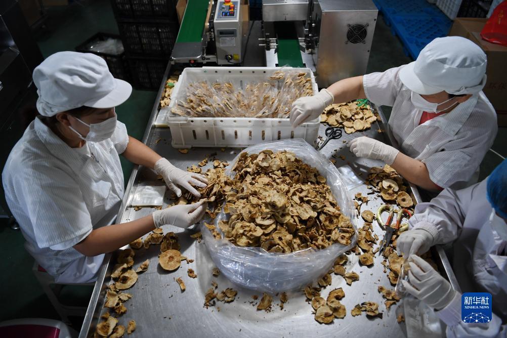 小玛丽捕鱼vip12多少钱